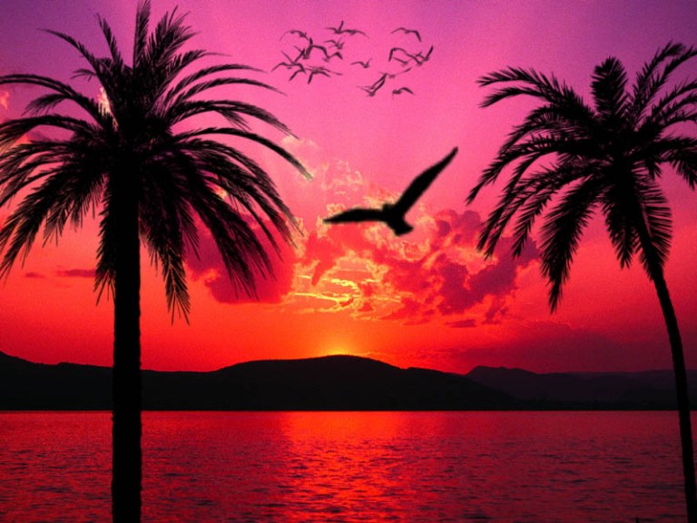 tropical_sunset_by_sheelal416